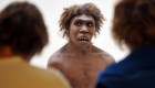 Estudio muestra el uso de las manos de los neandertales