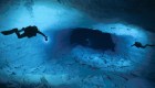 Increíbles fotos muestran la vida bajo el agua