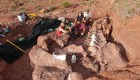 Conoce detalles sobre el fósil de dinosaurio en Argentina