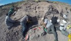 El titanosaurio más antiguo del mundo: esto debes saber