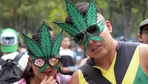 Mexicanos ¿a favor o en contra del uso lúdico de marihuana?