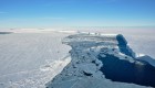 Ve imágenes inéditas de la vida bajo la Antártida