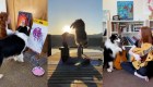 Se vuelve viral una perra que toca la guitarra y hace yoga