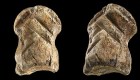 Pequeño hueso podría ser una "obra de arte" neandertal