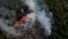 Dramático incendio forestal en la selva de la Amazonia