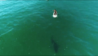 Orlando Bloom y su encuentro con un tiburón