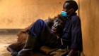 Muere famosa gorila de selfie viral en brazos de su amigo