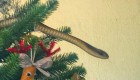 Familia descubre una serpiente venenosa en su árbol de Navidad