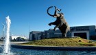 Exhiben mamuts hallados en el nuevo aeropuerto de México