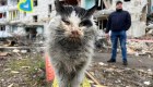 Así rescatan a las mascotas abandonadas por la guerra en Ucrania