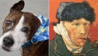Perro de una sola oreja imita a Van Gogh en sus pinturas