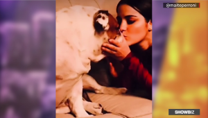 Maite Perroni honra la memoria de su mascota