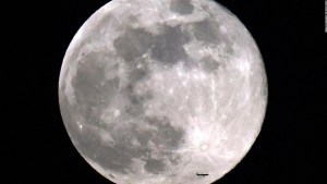 Mira las imágenes de la luna llena de castor