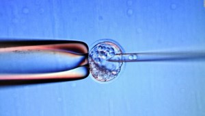 Los embriones congelados tienen derechos en Alabama