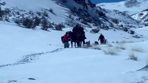 Rescatan a pareja de ancianos perdidos en una montaña nevada de Chile