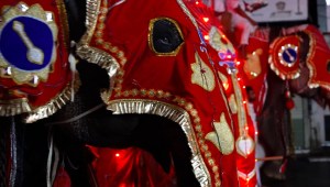 Este ritual celebra a los elefantes, pero puede llegar a ser una tortura