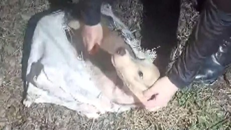 Abandonan a perro dentro de un saco y la Policía lo rescata