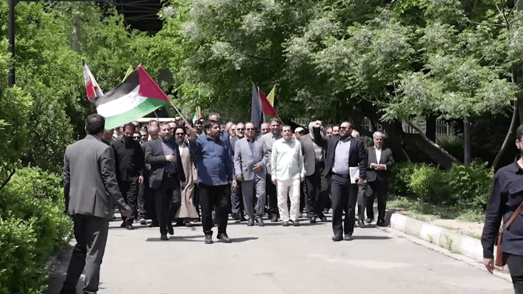 Manifestantes iraníes se solidarizan con las manifestaciones propalestinas