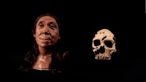 Este era el rostro de una mujer neandertal que vivió hace 75.000 años