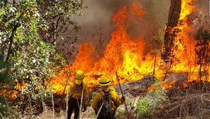Valle de Bravo, en riesgo ante intensos incendios
