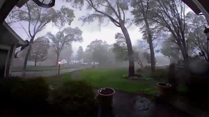 Un tornado arranca todos los árboles en un jardín en Michigan