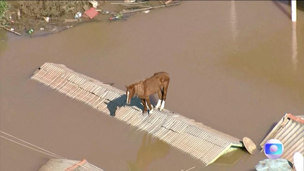 El rescate de un caballo en las inundaciones en Brasil