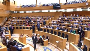 El Senado vota en contra de la ley de amnistía en España