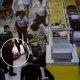 Dos agentes de la Guardia Civil de España reaniman a un pasajero en el aeropuerto de Barcelona