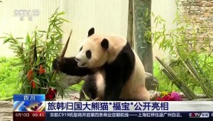 Una panda nacida en Corea del Sur hace su primera aparición en un zoológico de China
