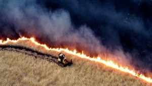 Impresionante incendio en California obliga evacuación de residentes