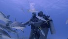 Una experta enseña a Boris Sanchez, de CNN, cómo acariciar a un tiburón