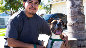 Juntar a niños en situación de riesgo con perros puede mejorar vidas