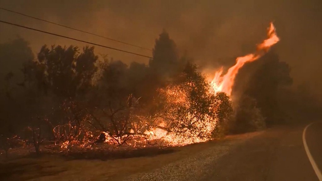 Arden bosques en California mientras aumenta el calor