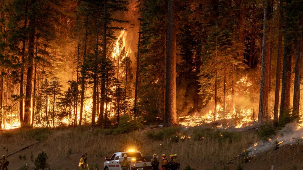 La intensidad de los incendios forestales en California obligan a evacuar a los residentes de la zona
