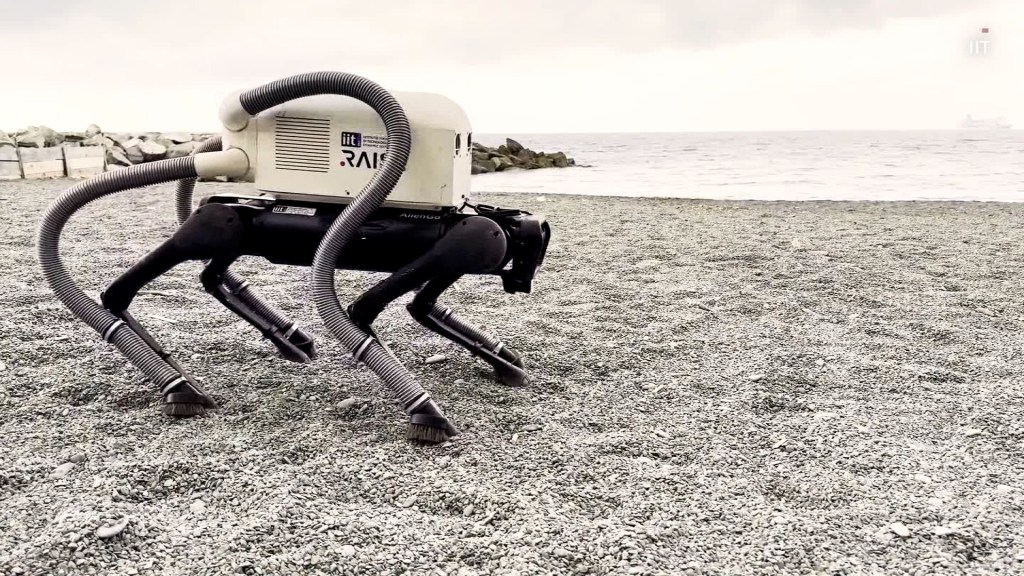 Un perro robot aspirador de basura llega a una playa italiana