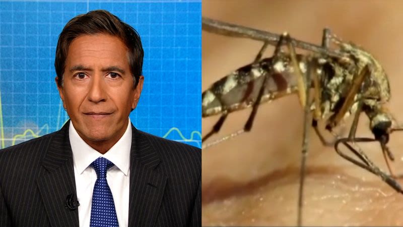 Cuatro razones por las que puedes ser un “imán” para los mosquitos