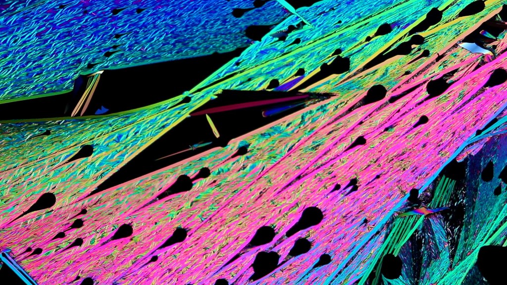 Demasiado pequeño para el ojo humano: moscas de fruta, gotas y células bajo el microscopio