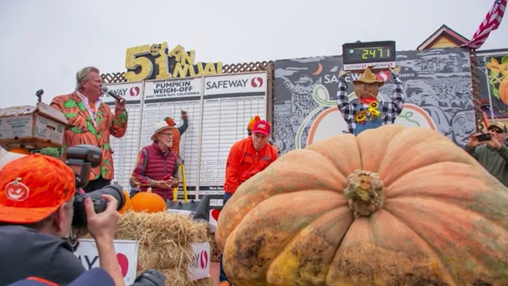 Mira este ejemplar gigante que ganó el Campeonato Mundial de la Calabaza